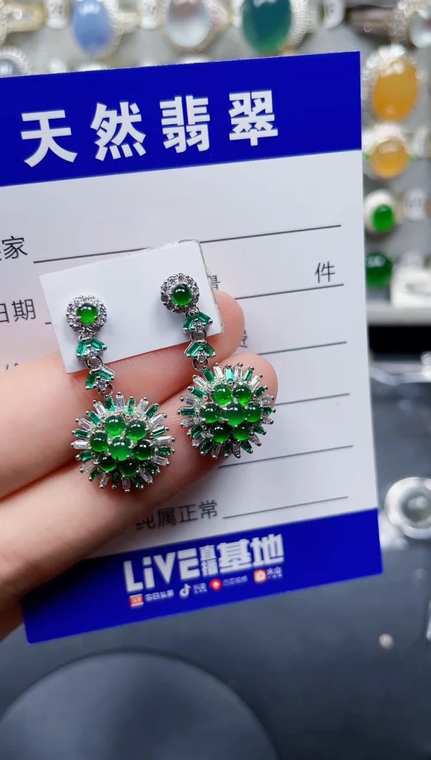 银S925镶嵌翡翠耳饰296