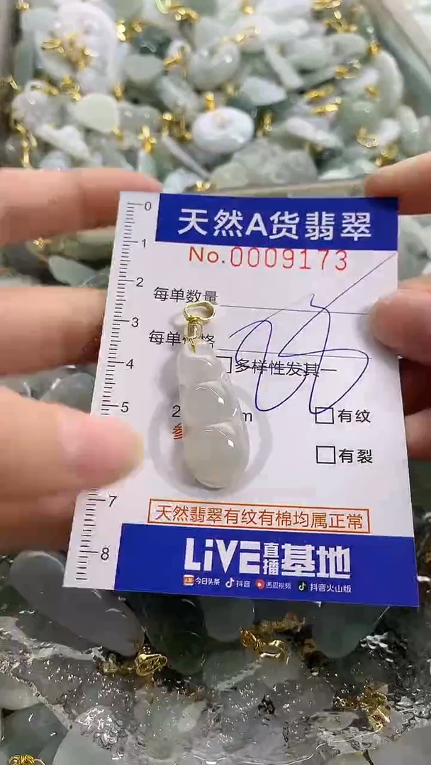 颈饰未镶嵌翡翠天然A货翡翠