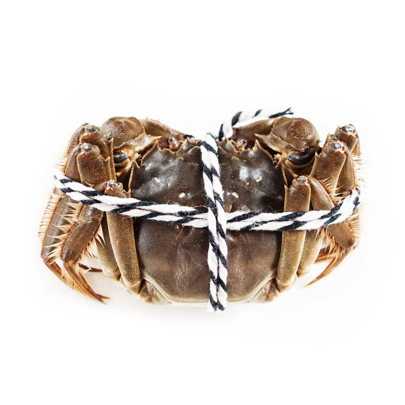 精品大闸蟹190-210g母/只