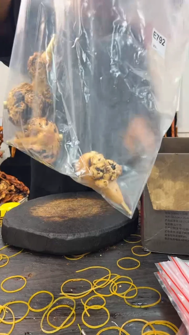 黑果木其他黑果木929
