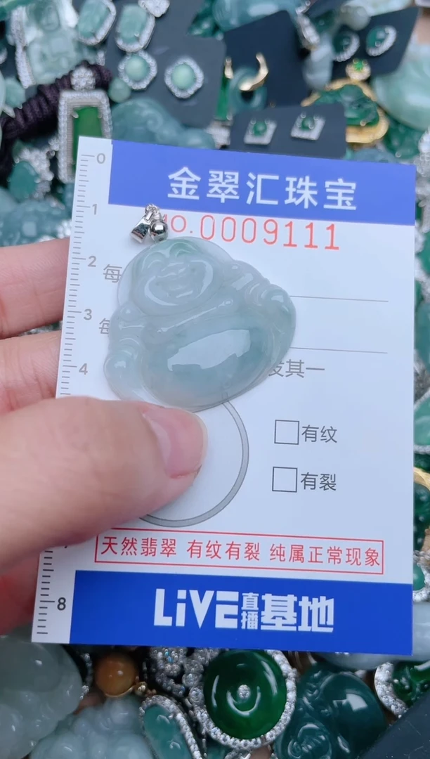 【闪购商品】翡翠颈饰未镶嵌9111.........1