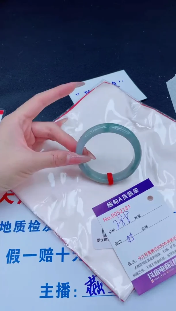 未镶嵌手镯翡翠288