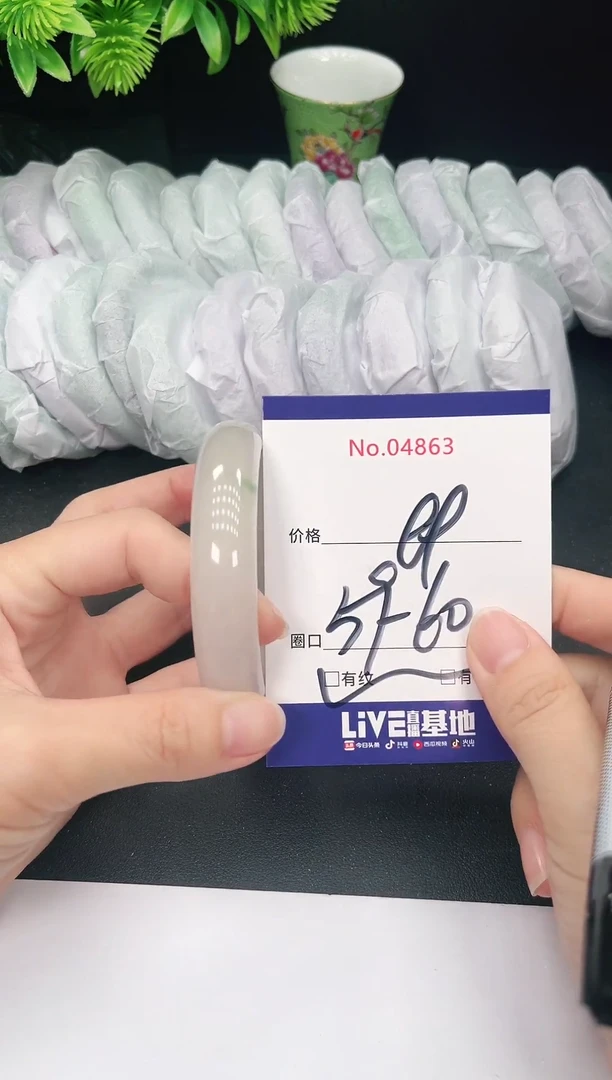 未镶嵌手镯翡翠4863
