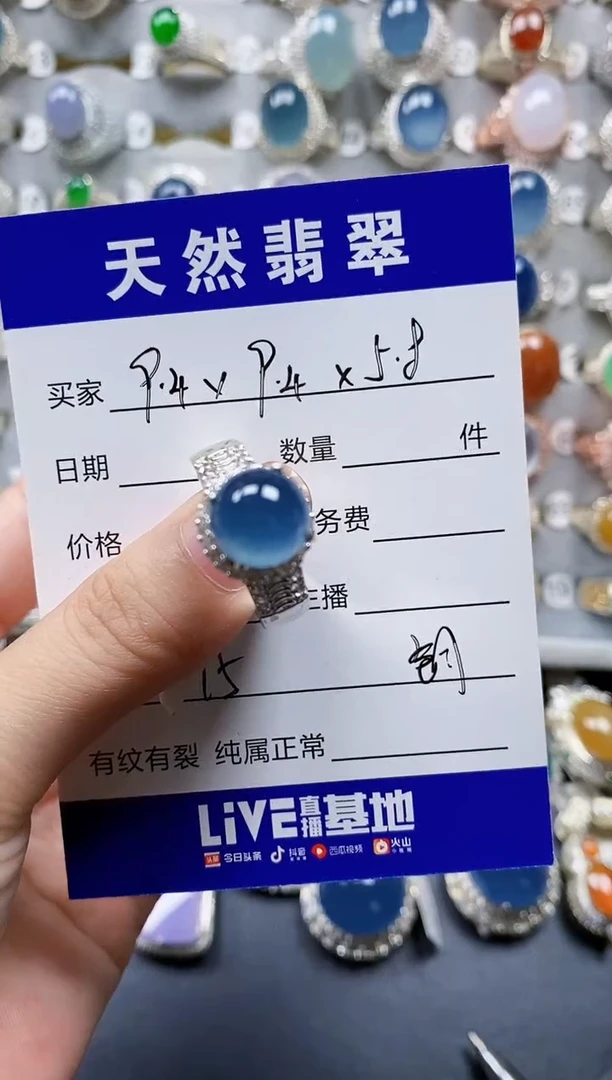 翡翠未镶嵌颈饰00000895
