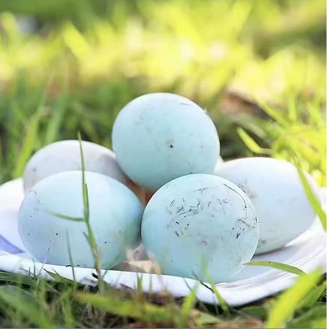 【顺丰包邮】鸭蛋正宗新鲜鸭蛋农村散养生鸭蛋
