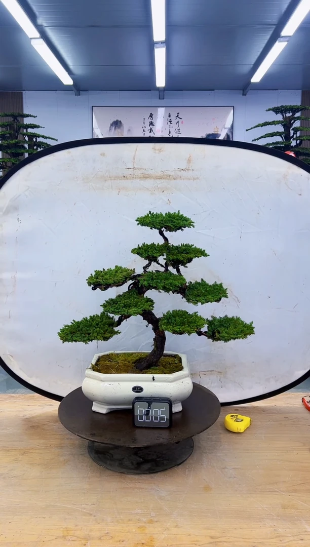 以实际为准0000000000