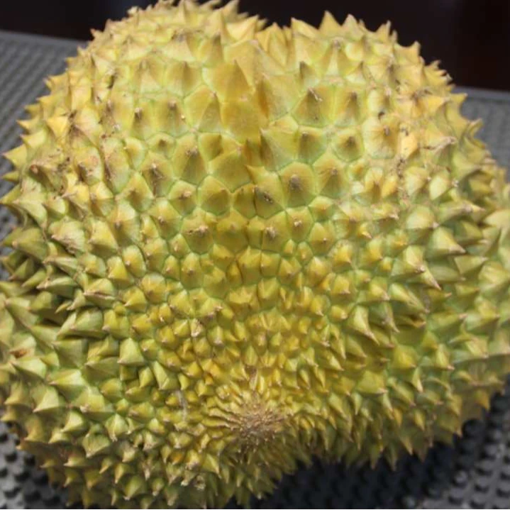 【同城配送】泰国金枕新鲜整果榴莲（核小）2500g左右一果一拍金枕泰国