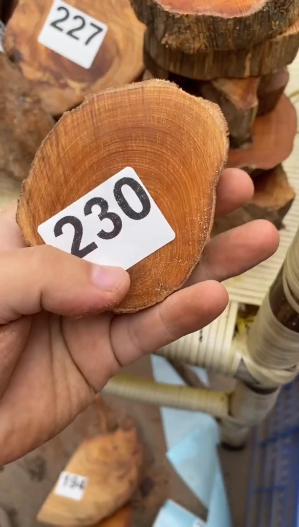 柏木（崖柏）太行陈化崖柏切片一块230