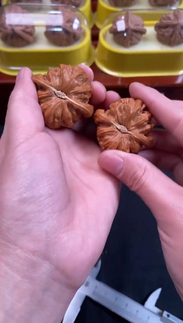 把件文玩核桃白狮子39尺N756