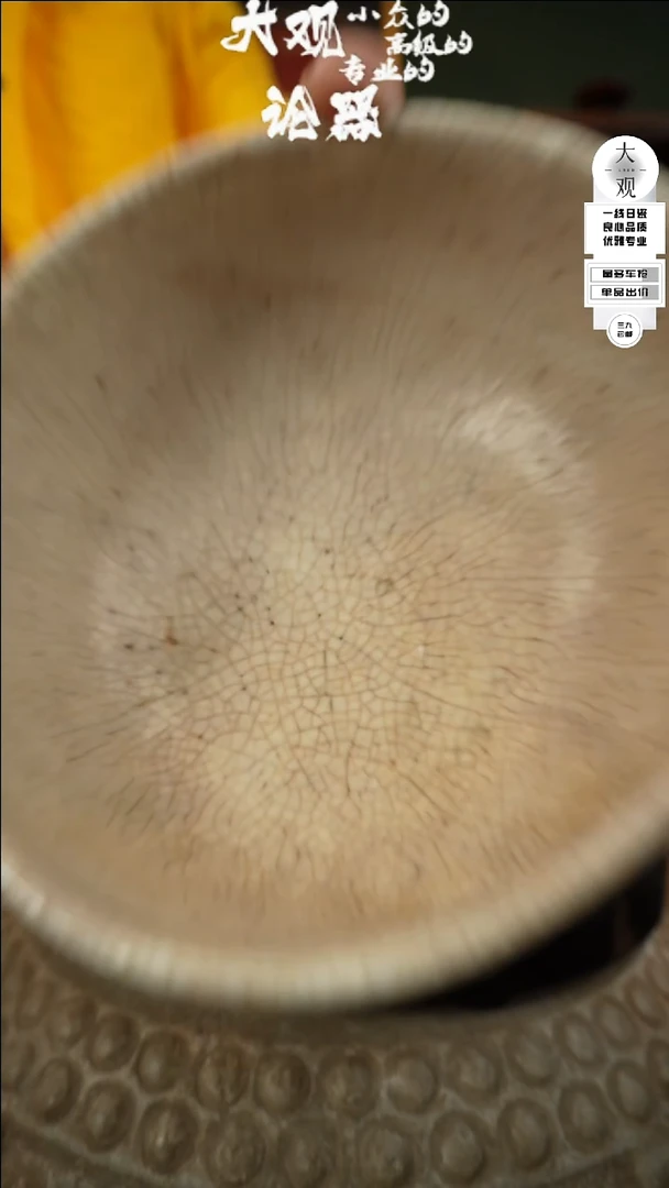 【闪购商品】瓷片大观论器大钵