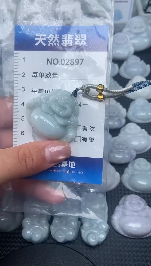 颈饰未镶嵌翡翠纯天然A货翡翠2897