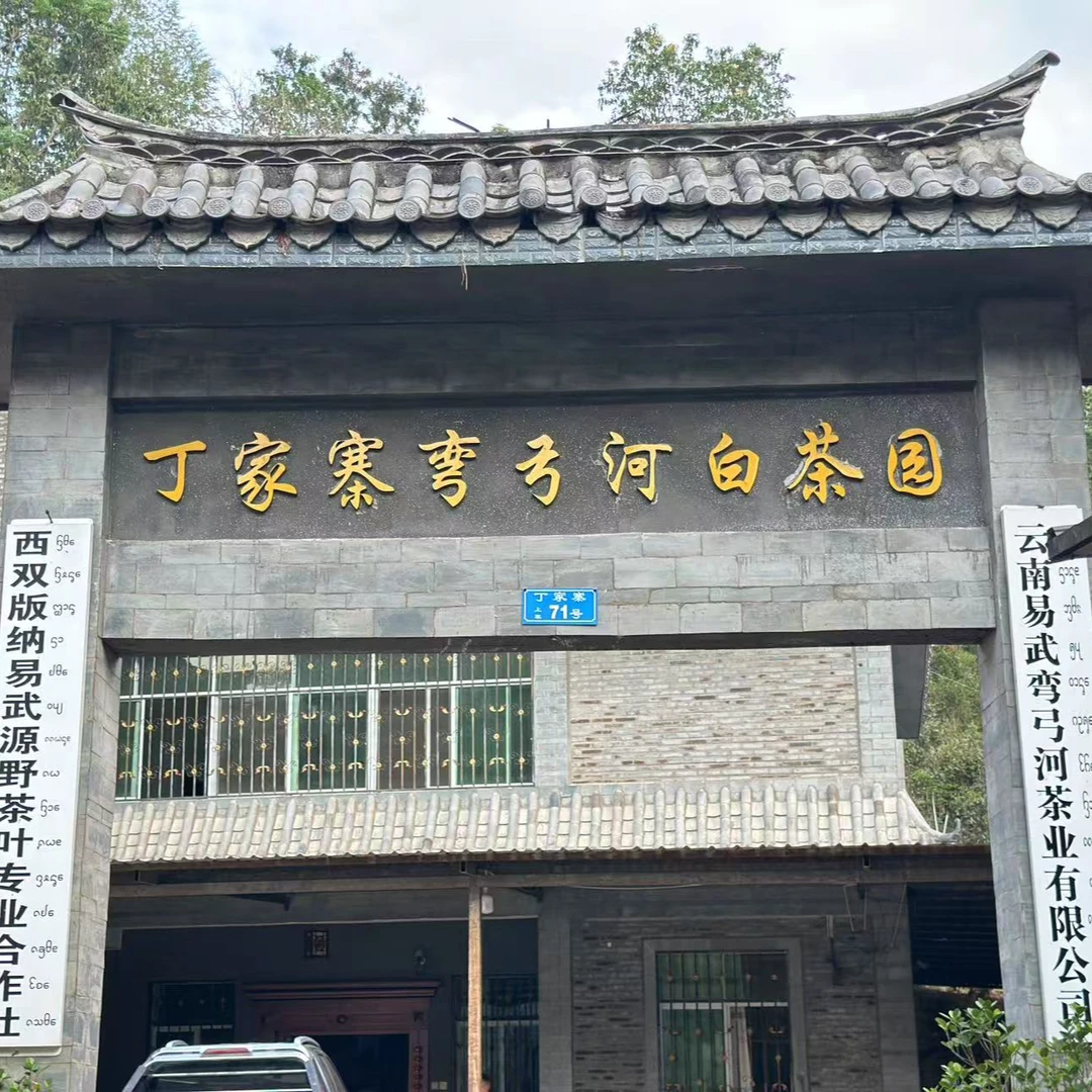 易武瑶族丁家寨生茶【福利款】普洱茶