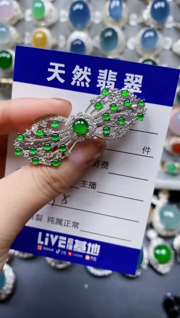 翡翠银S925镶嵌颈饰0395