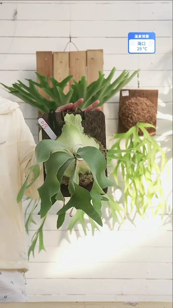 完全开放A013银华