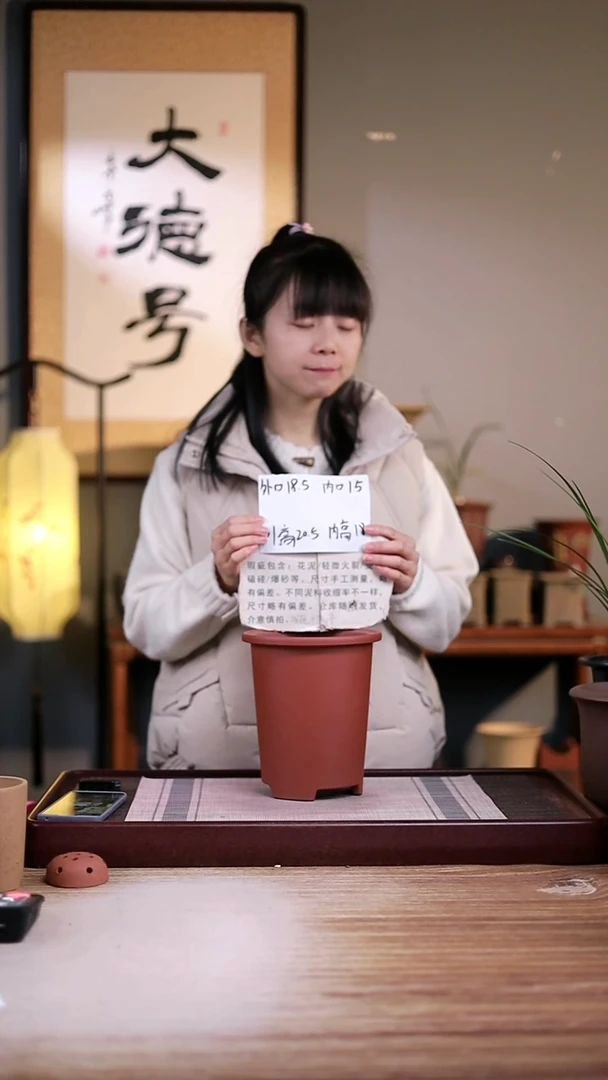 紫砂花盆?****C瑕疵清水泥素面带沿圆盆一只无托