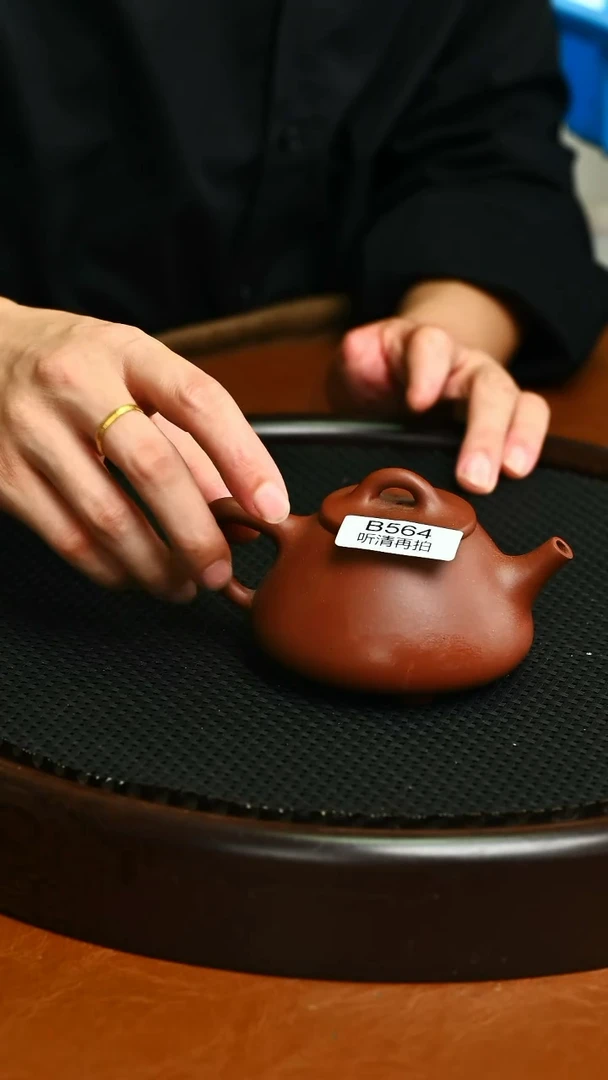 茶壶紫砂紫砂精品564石瓢