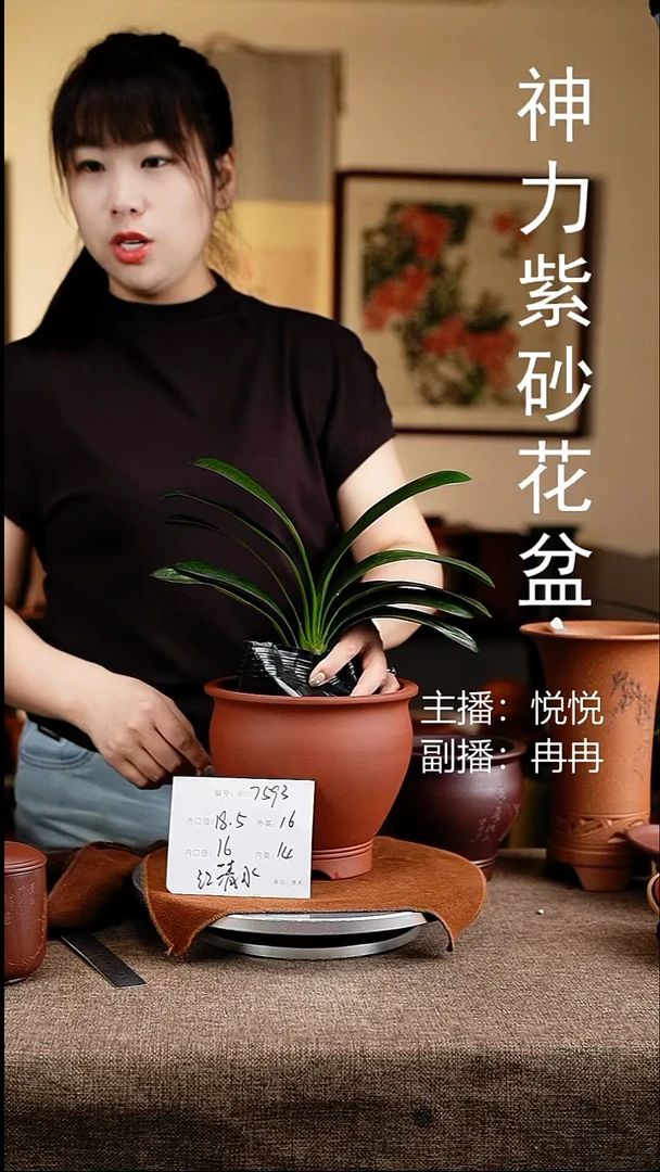 紫砂花盆花卉工艺7593