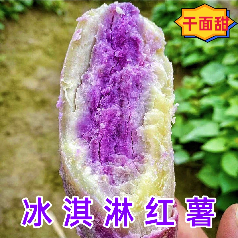 薯薯乐冰淇淋红薯番薯一点红地瓜粉糯香甜健康粗粮干面香甜包邮