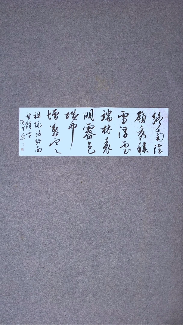 书法张洪荣 贵州 副主69*23尺寸