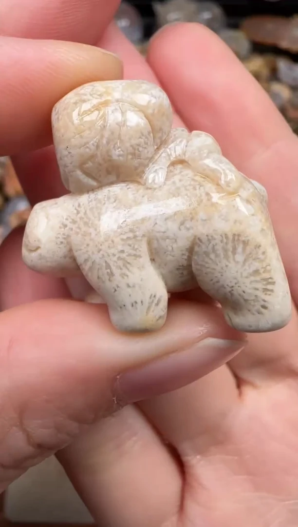 硅化珊瑚（珊瑚玉）未镶嵌颈饰710