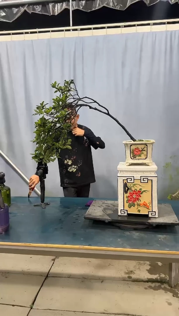 无花朵春花春花春花春花