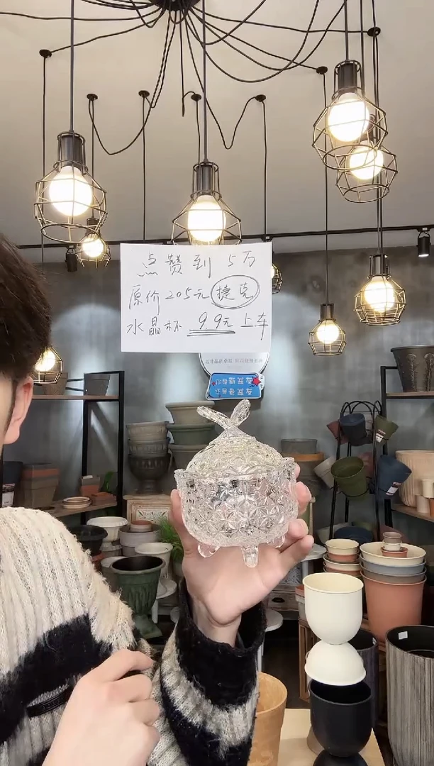 【闪购商品】塑料水晶糖果杯一套