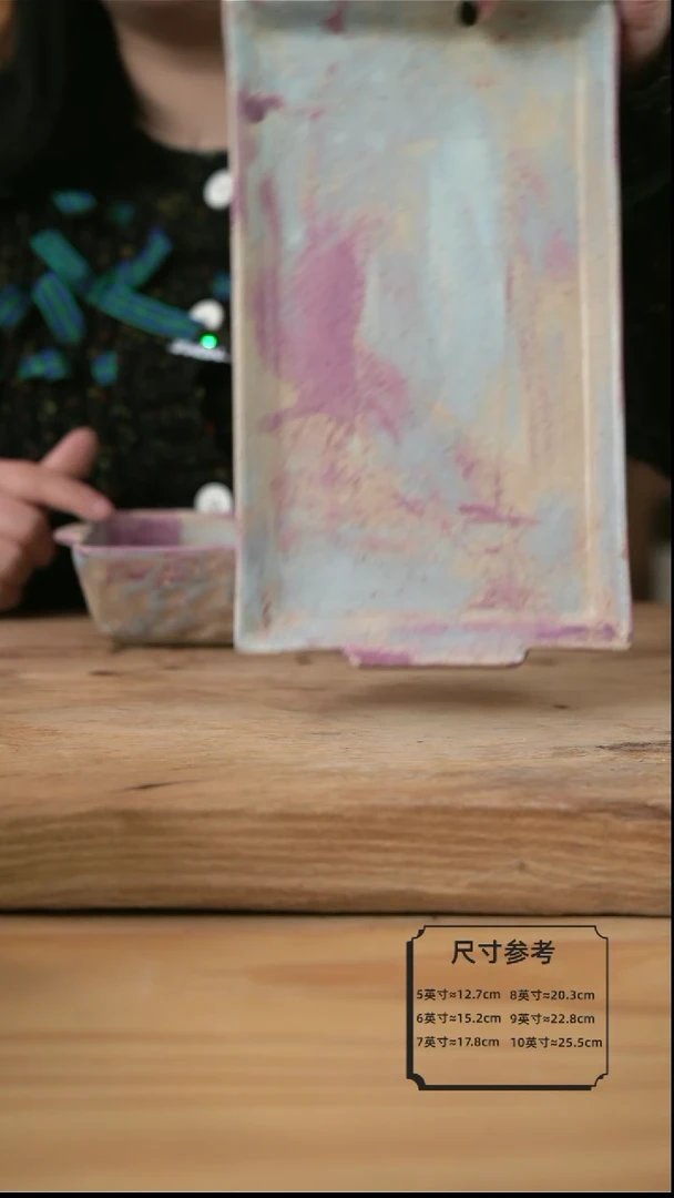 【闪购商品】紫色的9英寸长方形鱼盘