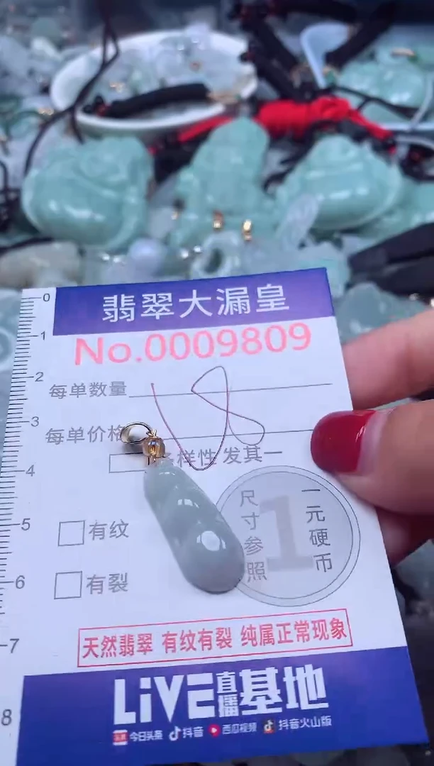 颈饰未镶嵌翡翠9809