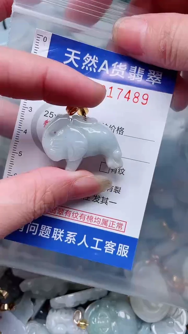 翡翠未镶嵌吊坠(不含链)1