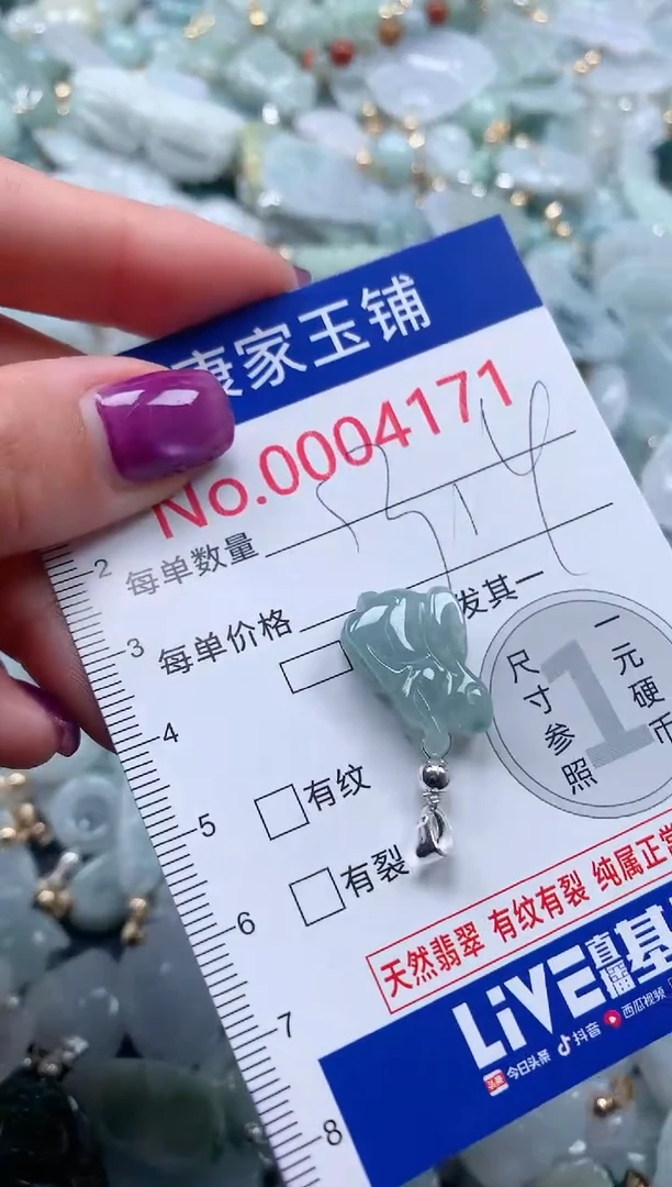 颈饰未镶嵌翡翠4171