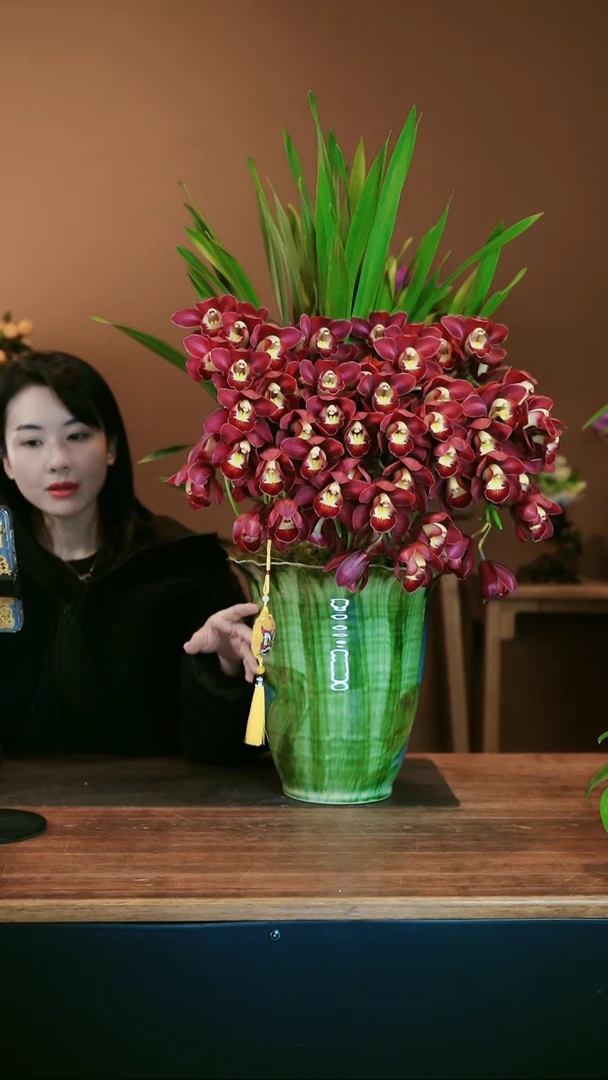 【闪购商品】盆景红袍拱兰 绿