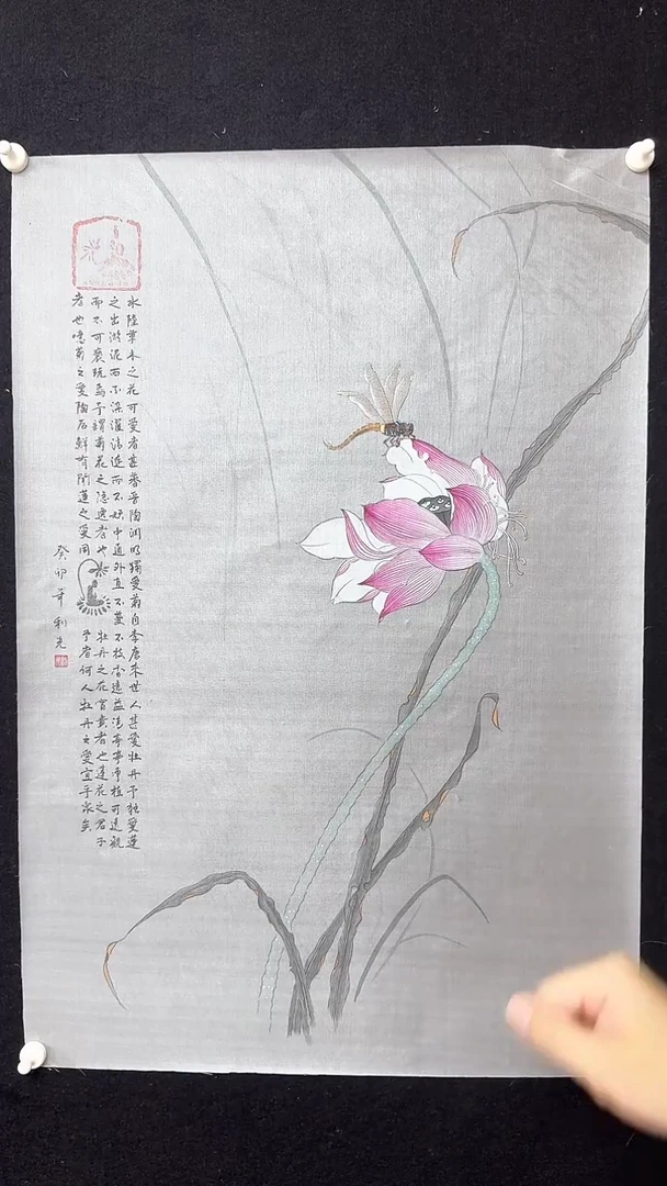 【闪购商品】国画绘画绢画蜻蜓