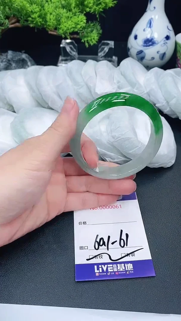 未镶嵌手镯翡翠61