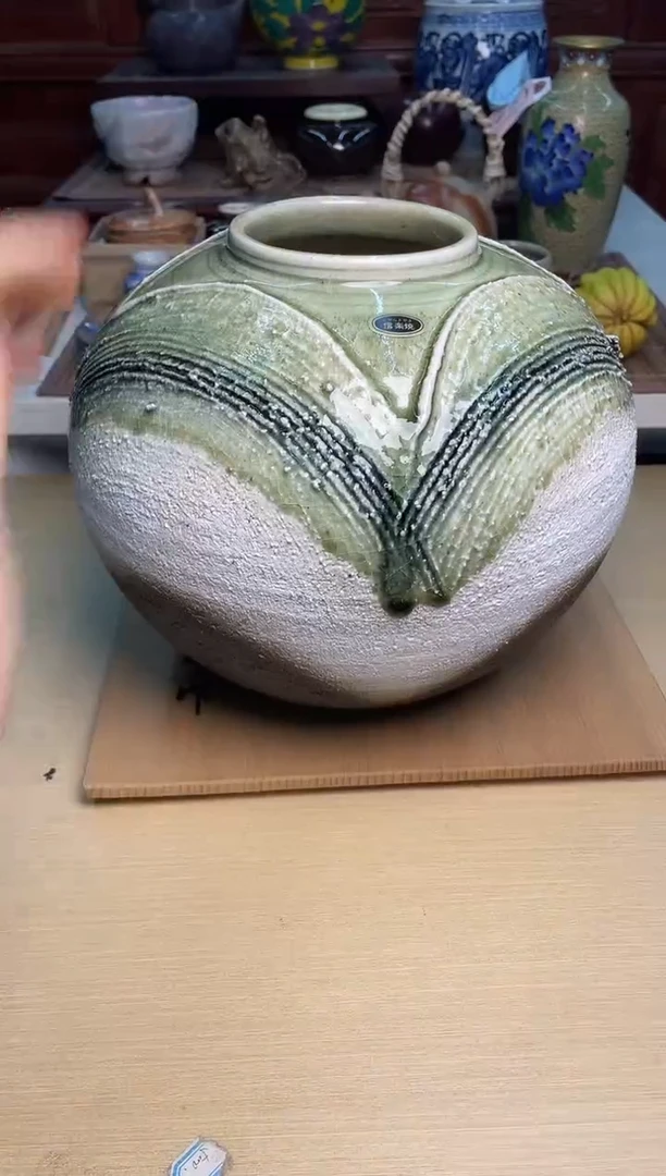 209号直播专用链接