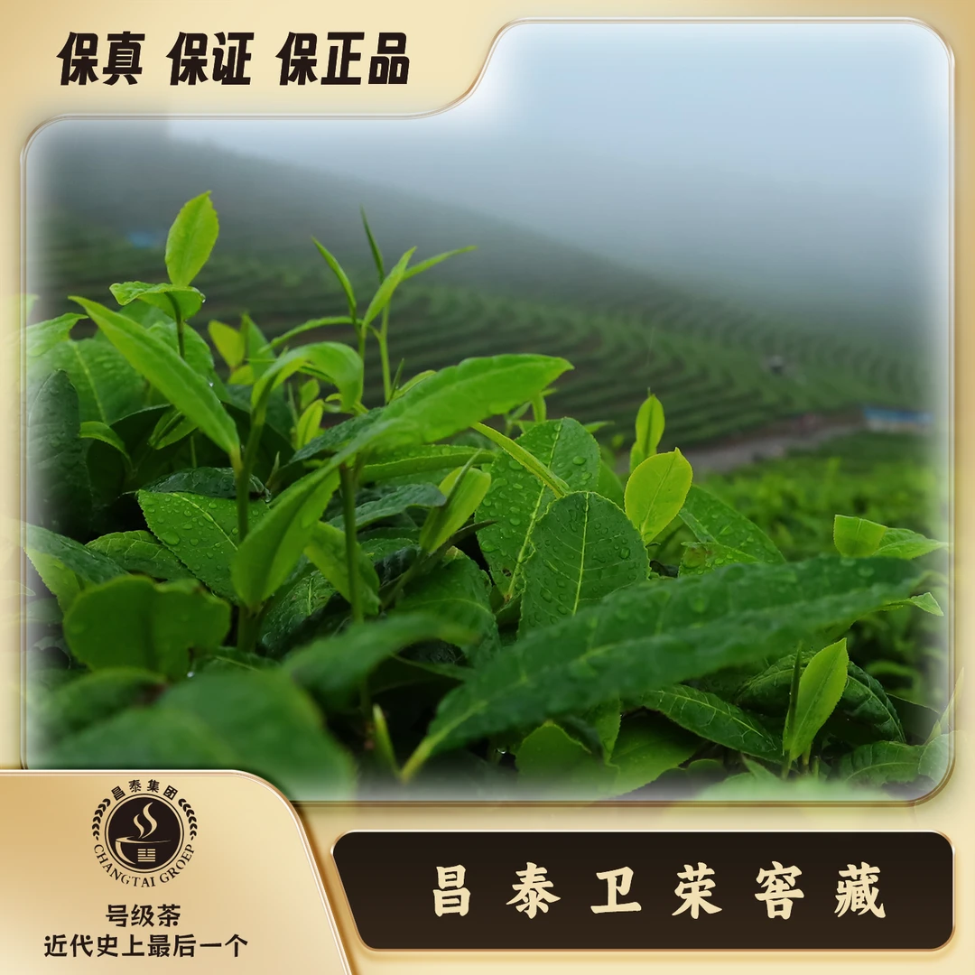 【卫荣茶仓】1999年 大渡岗元宝茶   通用链接