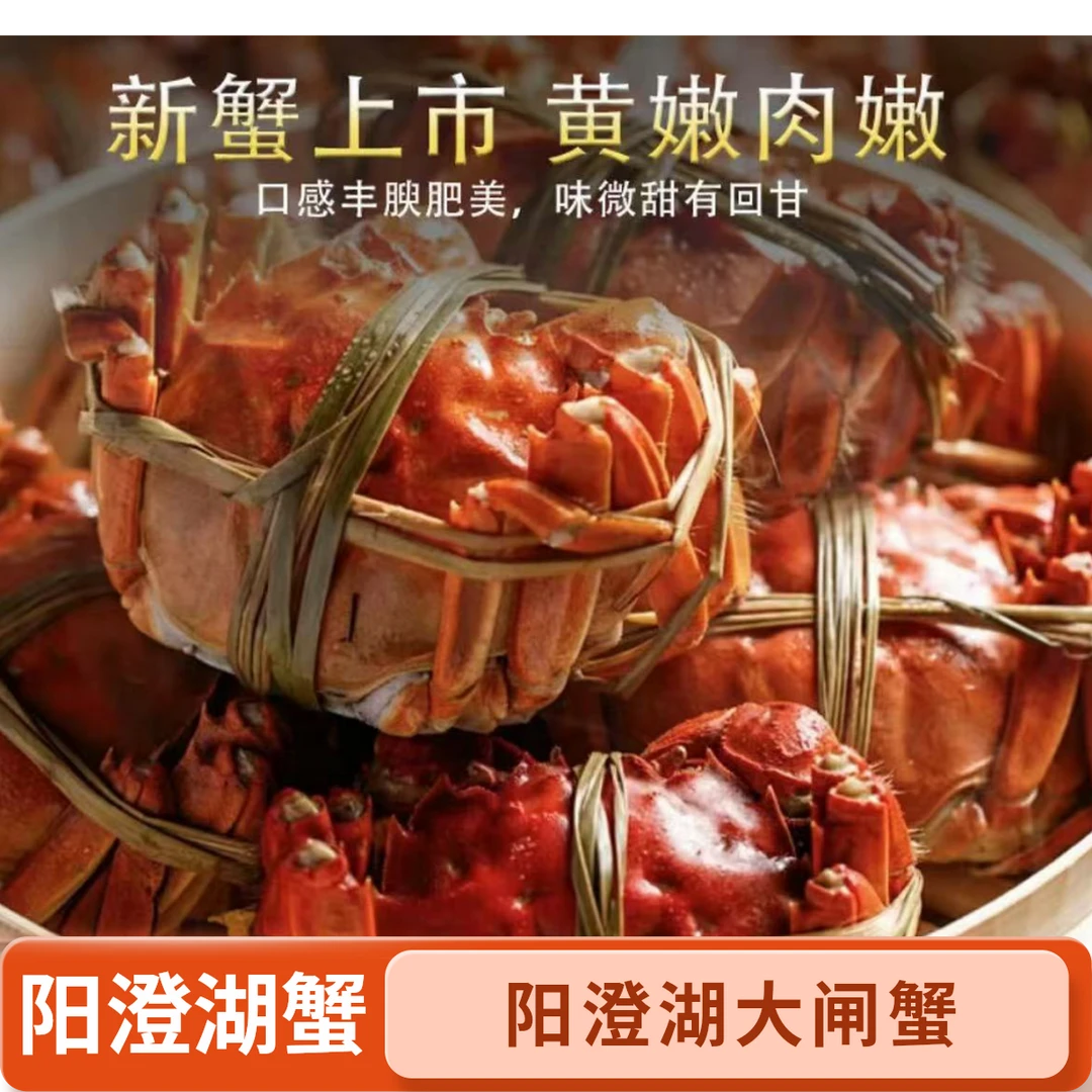 正宗阳澄湖大闸蟹 活蟹现发公蟹4两8只10只精品塘养