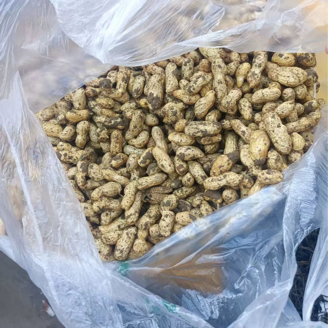 【带壳花生】新货农产品带壳