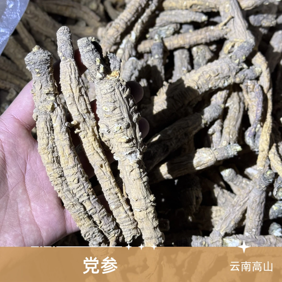 【纯臻山品】党参无硫云南高山优质滋补山货农产品