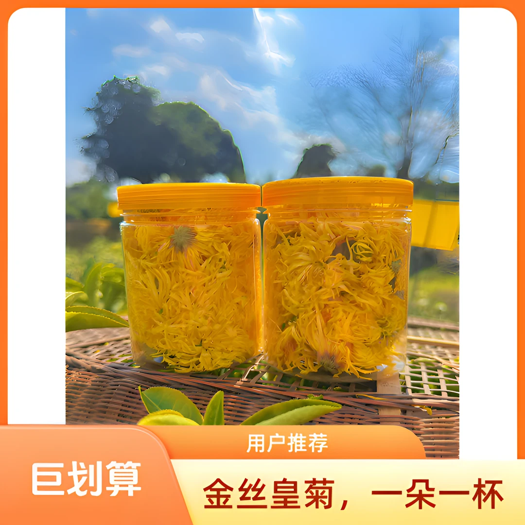 新花上市高山金丝皇菊菊花茶一朵一杯罐装清香优选搭枸杞山楂干