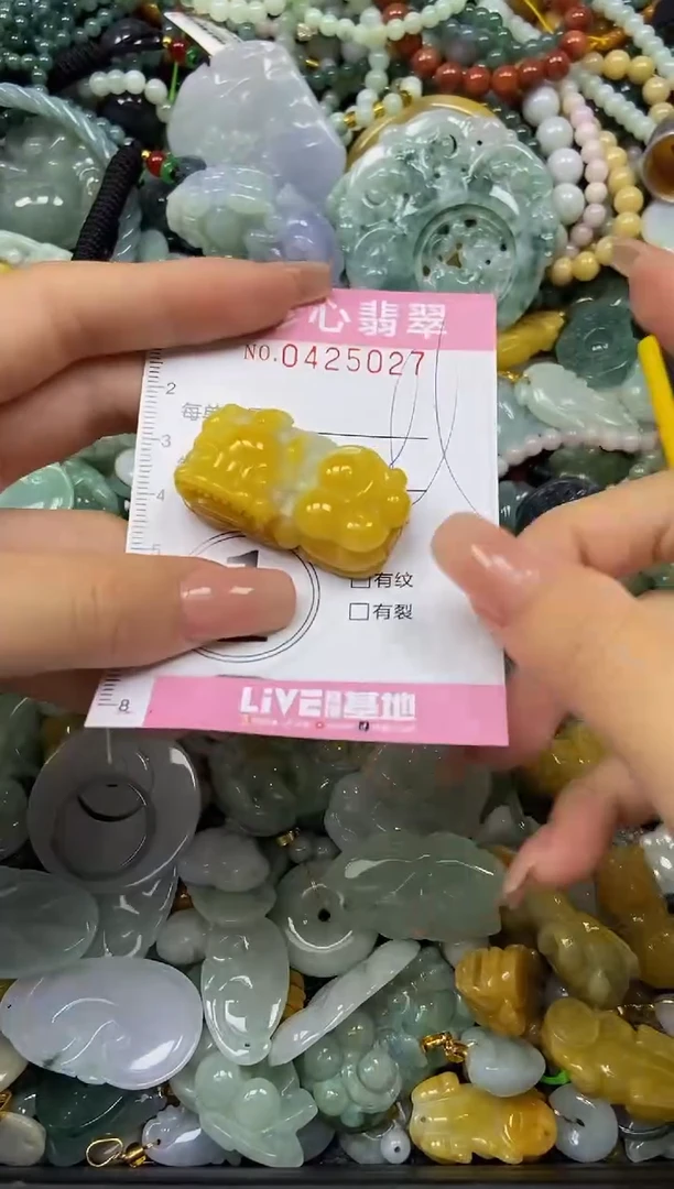 颈饰未镶嵌翡翠闪购0425027