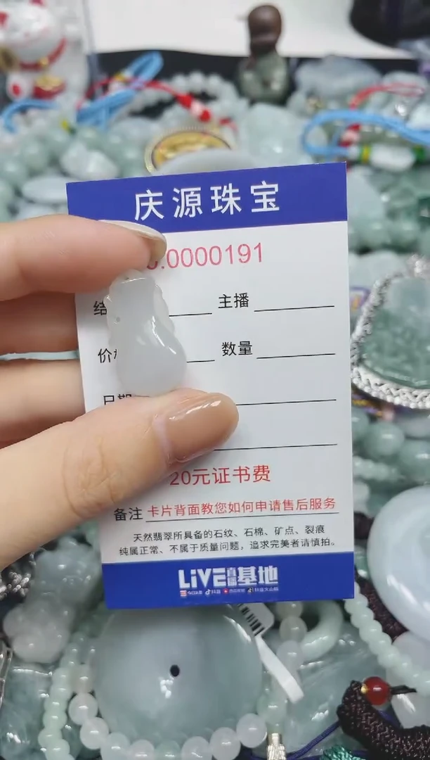 翡翠未镶嵌颈饰305