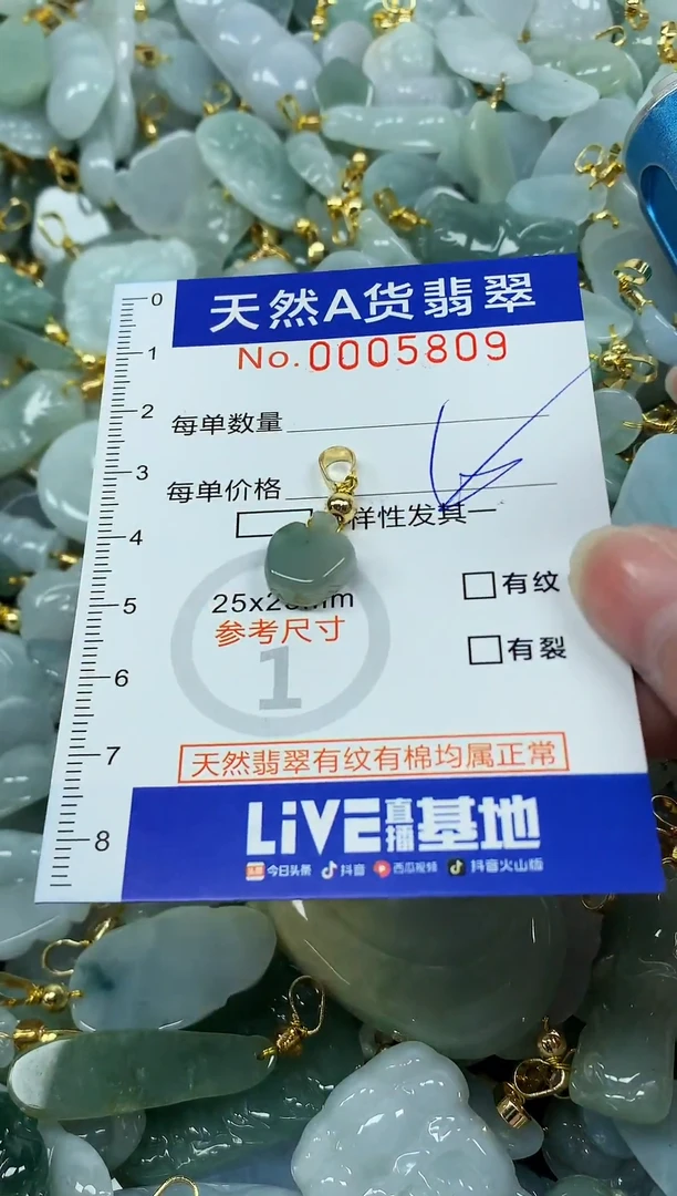 颈饰未镶嵌翡翠纯天然a货翡翠