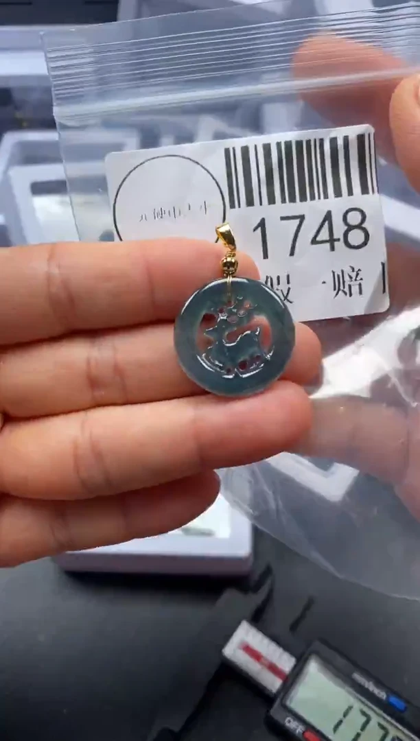 吊坠(不含链)未镶嵌翡翠1748