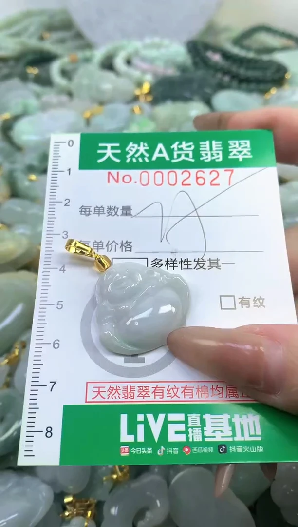 颈饰未镶嵌翡翠天然A货翡翠