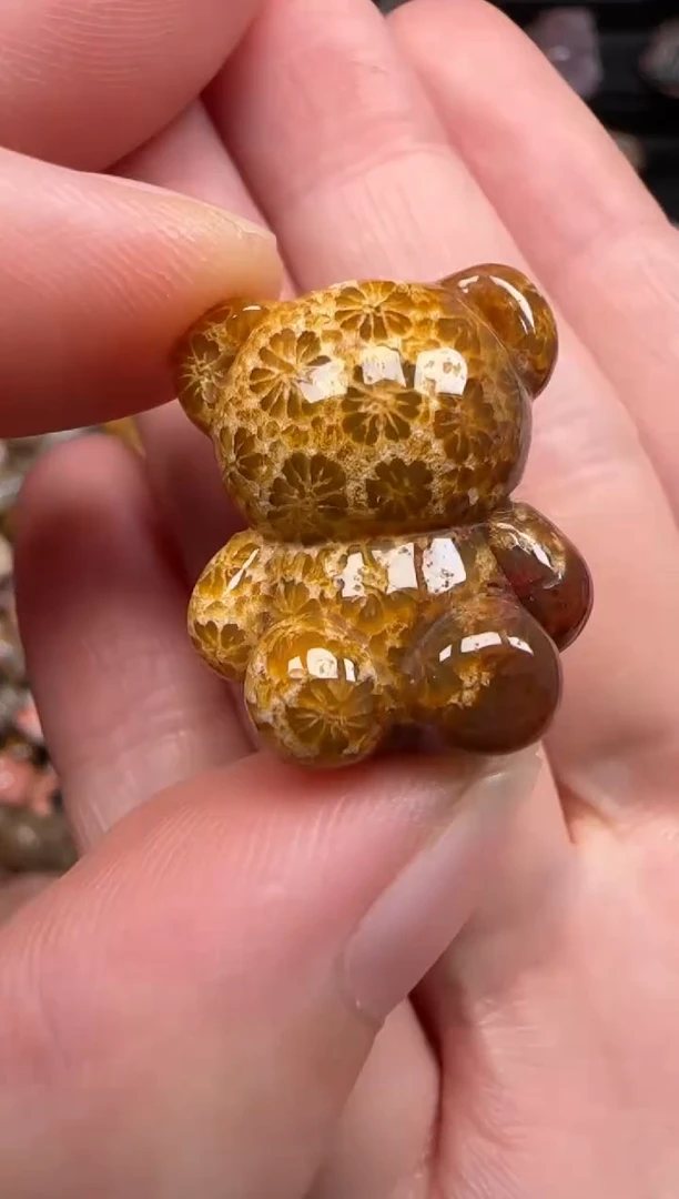 硅化珊瑚（珊瑚玉）未镶嵌颈饰610