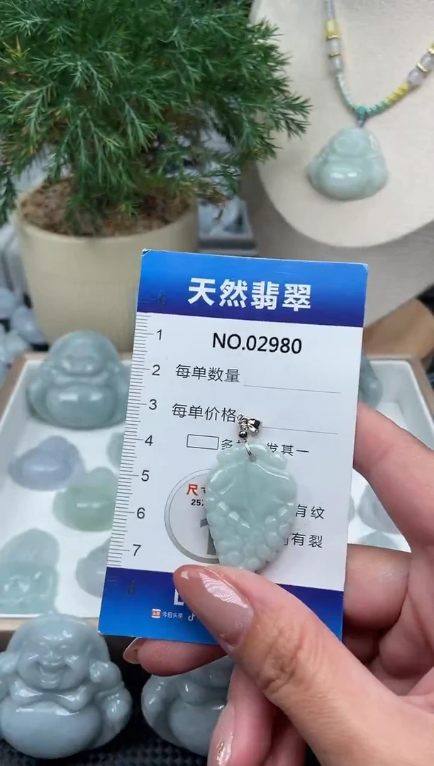 颈饰未镶嵌翡翠纯天然A货翡翠2980