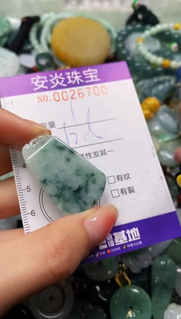 颈饰未镶嵌翡翠闪购0026700