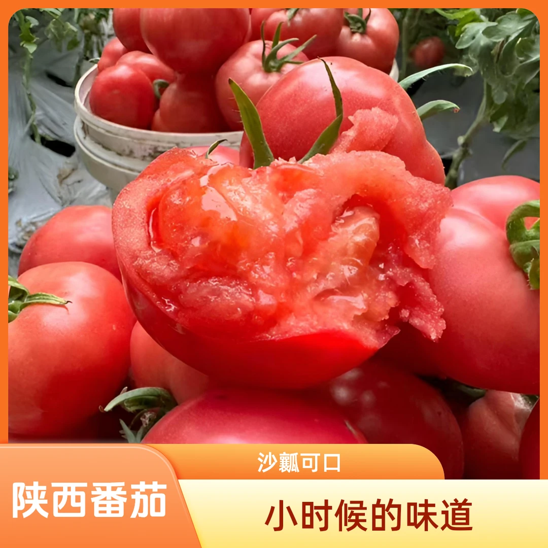 【自然成熟】陕西普罗旺斯水果沙瓤西红柿可以放心吃小时候的味道