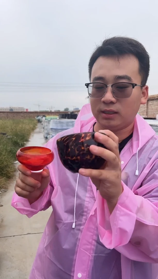 花瓶客厅餐桌插花装饰好物一只小碗