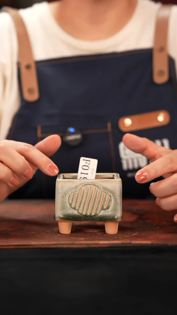 7-10-019花盆口径